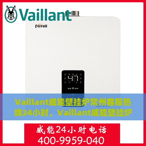Vaillant威能壁挂炉常州客服热线24小时，Vaillant威能壁挂炉常州全天候客服热线，贴心服务随时在线