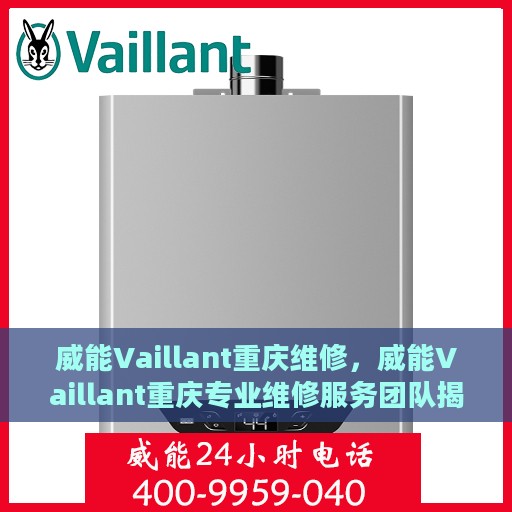 威能Vaillant重庆维修，威能Vaillant重庆专业维修服务团队揭秘