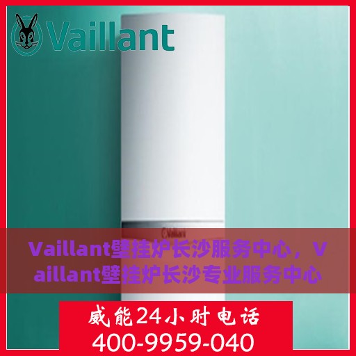 Vaillant壁挂炉长沙服务中心，Vaillant壁挂炉长沙专业服务中心，高效维修与保养解决方案