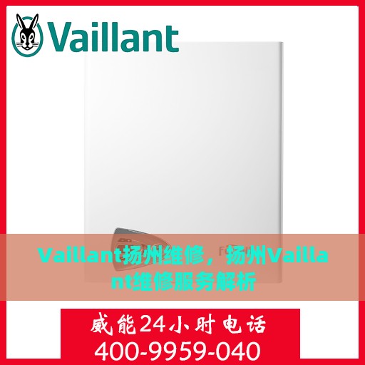 Vaillant扬州维修，扬州Vaillant维修服务解析