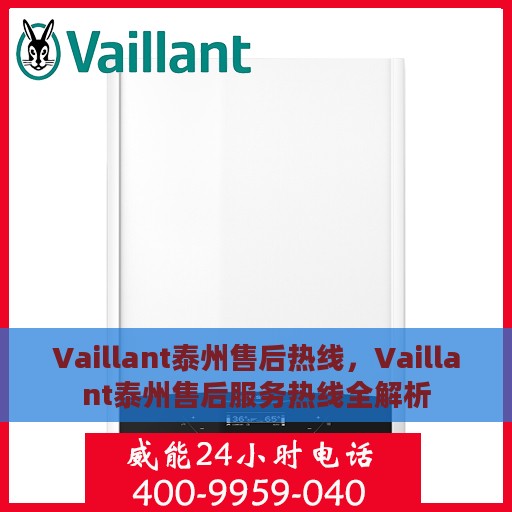 Vaillant泰州售后热线，Vaillant泰州售后服务热线全解析