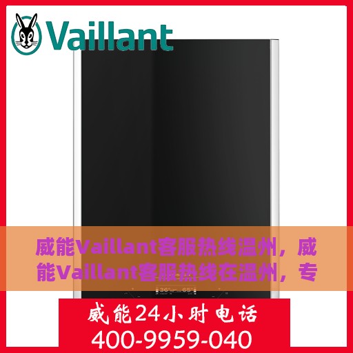 威能Vaillant客服热线温州，威能Vaillant客服热线在温州，专业支持与贴心服务