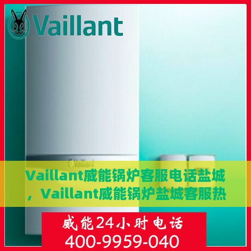 Vaillant威能锅炉客服电话盐城，Vaillant威能锅炉盐城客服热线及售后服务解析