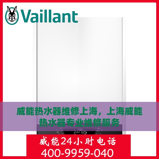 威能热水器维修上海，上海威能热水器专业维修服务