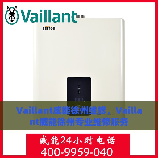 Vaillant威能徐州维修，Vaillant威能徐州专业维修服务