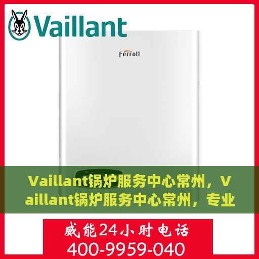 Vaillant锅炉服务中心常州，Vaillant锅炉服务中心常州，专业维修与保养，为您的设备保驾护航